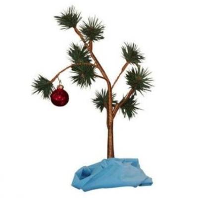 Christmas Tree Buying Guide
