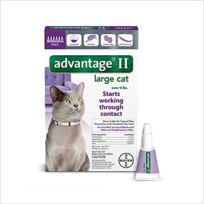 Cat Flea & Tick Control Buying Guide