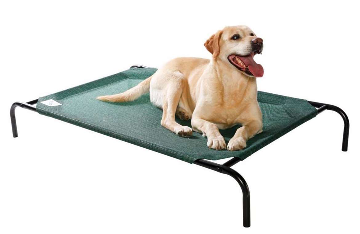 Dog Beds Top 10 Rankings