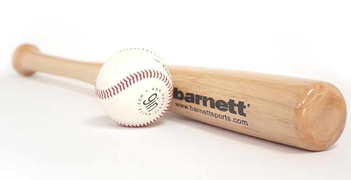 Best Baseball Bat Buying Guide For You | Ranky10